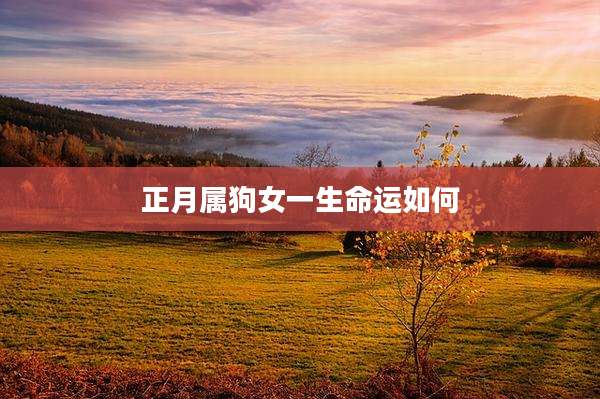 正月属狗女一生命运如何