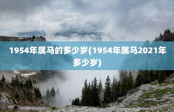 1954年属马的多少岁(1954年属马2021年多少岁)