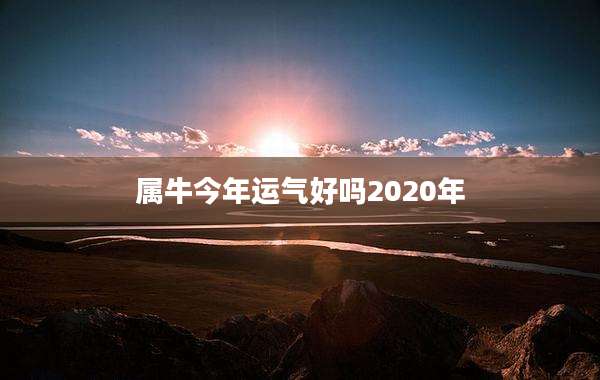 属牛今年运气好吗2020年
