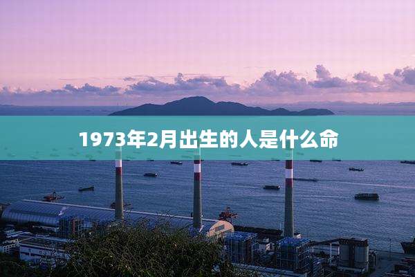 1973年2月出生的人是什么命