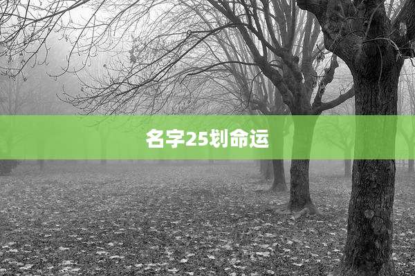 名字25划命运
