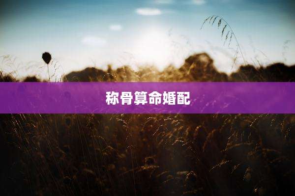 称骨算命婚配
