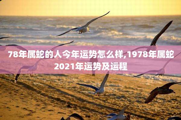 78年属蛇的人今年运势怎么样,1978年属蛇2021年运势及运程