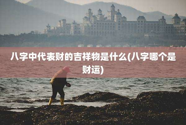 八字中代表财的吉祥物是什么(八字哪个是财运)