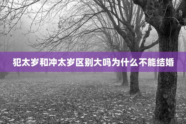 犯太岁和冲太岁区别大吗为什么不能结婚