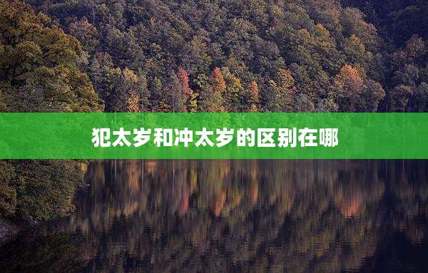 犯太岁和冲太岁的区别在哪