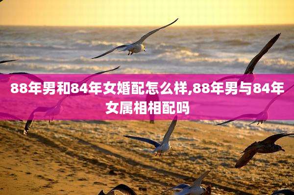 88年男和84年女婚配怎么样,88年男与84年女属相相配吗