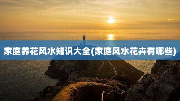家庭养花风水知识大全(家庭风水花卉有哪些)