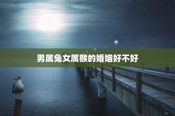 男属兔女属猴的婚姻好不好