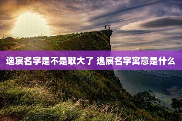 逸宸名字是不是取大了 逸宸名字寓意是什么