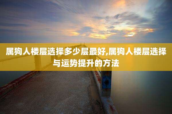 属狗人楼层选择多少层最好,属狗人楼层选择与运势提升的方法