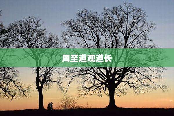 周至道观道长