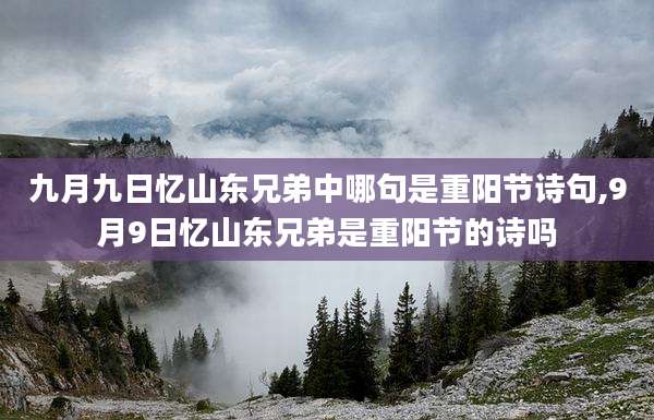 九月九日忆山东兄弟中哪句是重阳节诗句,9月9日忆山东兄弟是重阳节的诗吗
