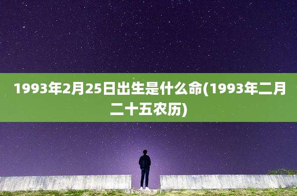 1993年2月25日出生是什么命(1993年二月二十五农历)