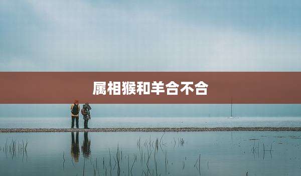 属相猴和羊合不合