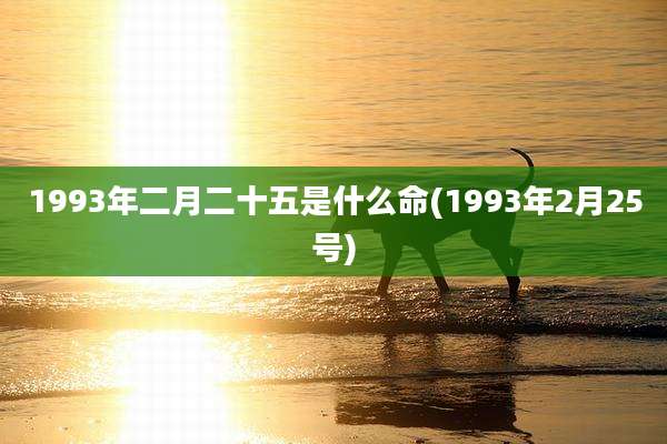 1993年二月二十五是什么命(1993年2月25号)