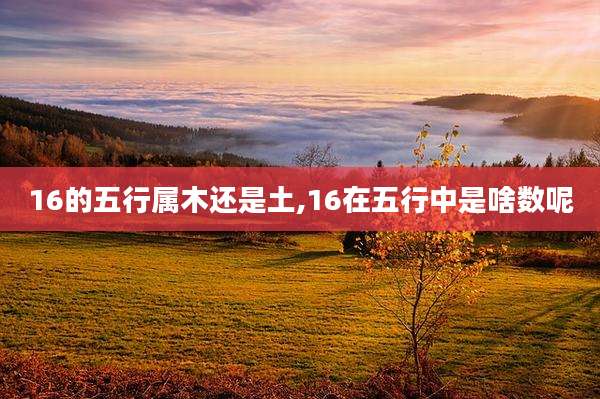16的五行属木还是土,16在五行中是啥数呢
