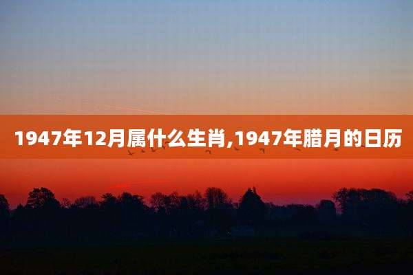 1947年12月属什么生肖,1947年腊月的日历