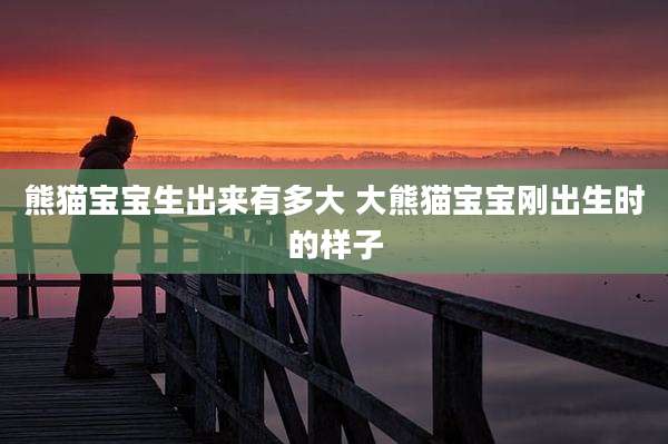 熊猫宝宝生出来有多大 大熊猫宝宝刚出生时的样子