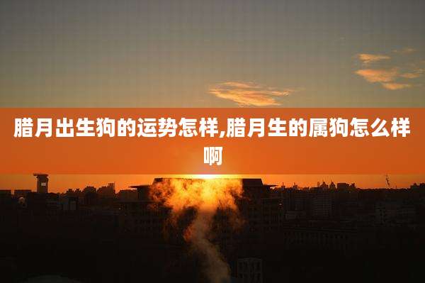 腊月出生狗的运势怎样,腊月生的属狗怎么样啊
