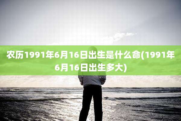 农历1991年6月16日出生是什么命(1991年6月16日出生多大)