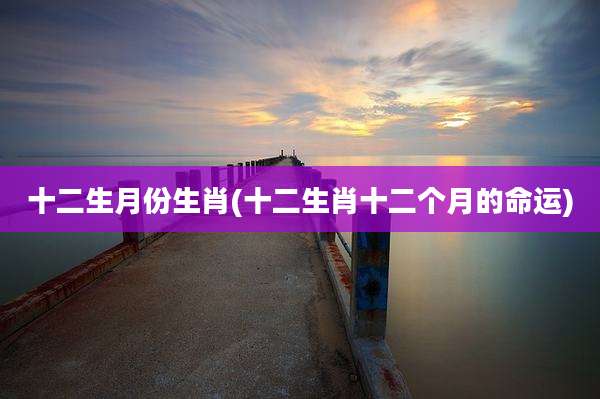 十二生月份生肖(十二生肖十二个月的命运)
