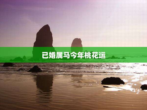 已婚属马今年桃花运