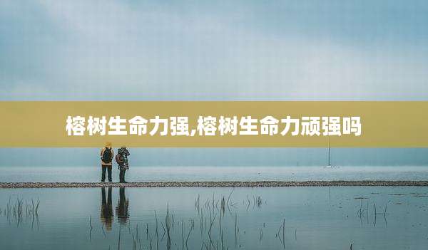 榕树生命力强,榕树生命力顽强吗