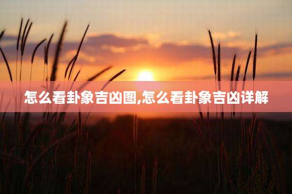 怎么看卦象吉凶图,怎么看卦象吉凶详解