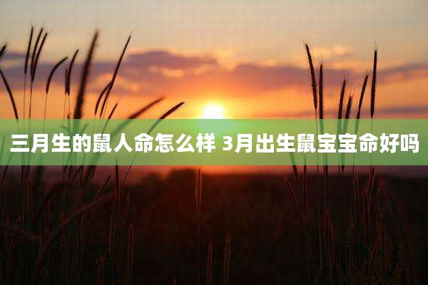 三月生的鼠人命怎么样 3月出生鼠宝宝命好吗