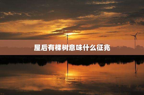 屋后有棵树意味什么征兆