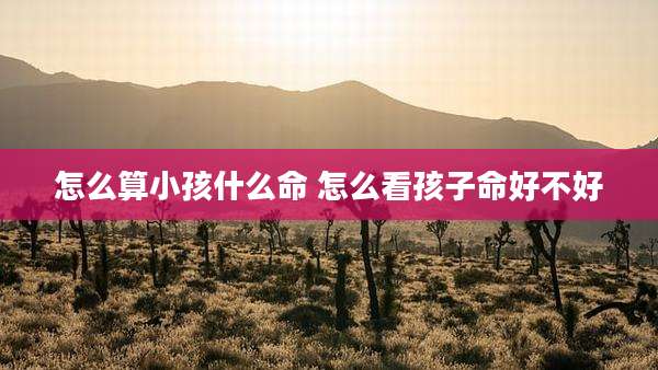 怎么算小孩什么命 怎么看孩子命好不好