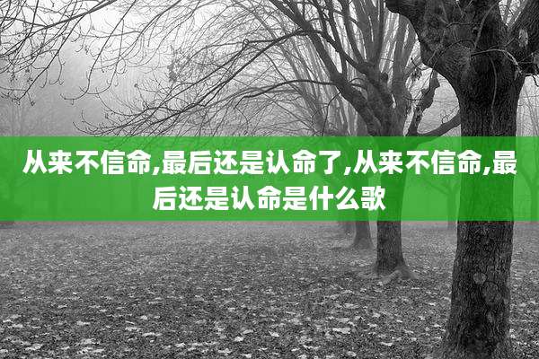 从来不信命,最后还是认命了,从来不信命,最后还是认命是什么歌