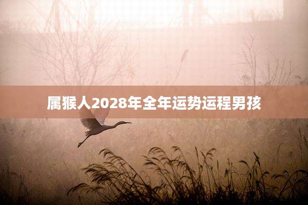 属猴人2028年全年运势运程男孩
