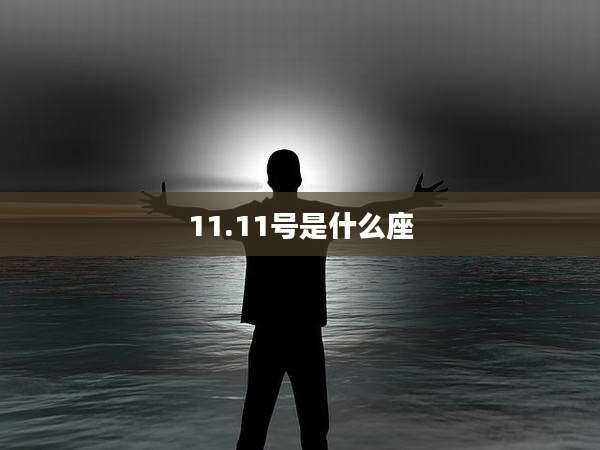 11.11号是什么座