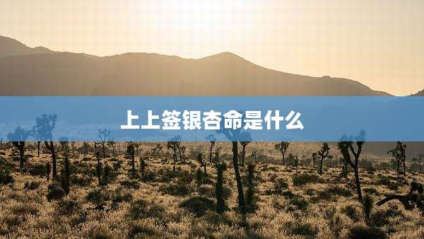 上上签银杏命是什么