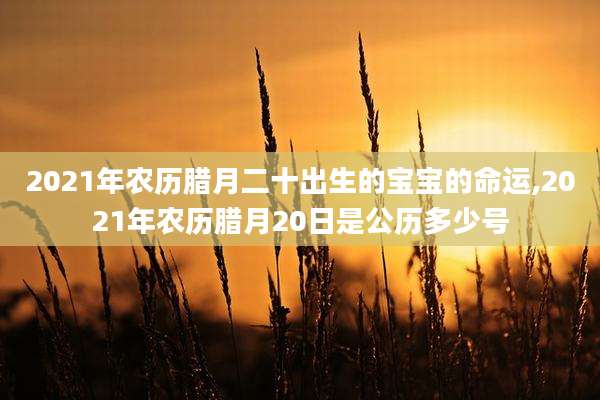 2021年农历腊月二十出生的宝宝的命运,2021年农历腊月20日是公历多少号