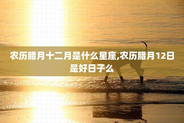 农历腊月十二月是什么星座,农历腊月12日是好日子么