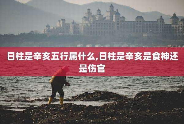 日柱是辛亥五行属什么,日柱是辛亥是食神还是伤官