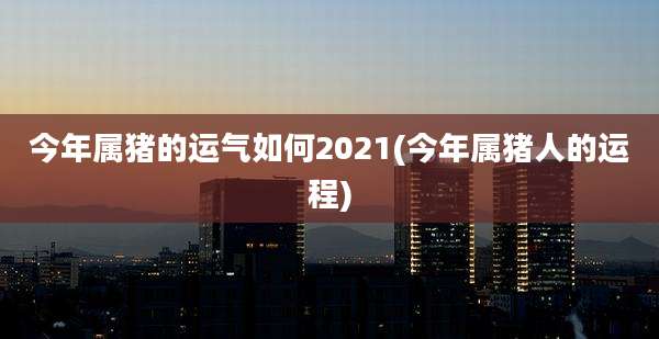 今年属猪的运气如何2021(今年属猪人的运程)