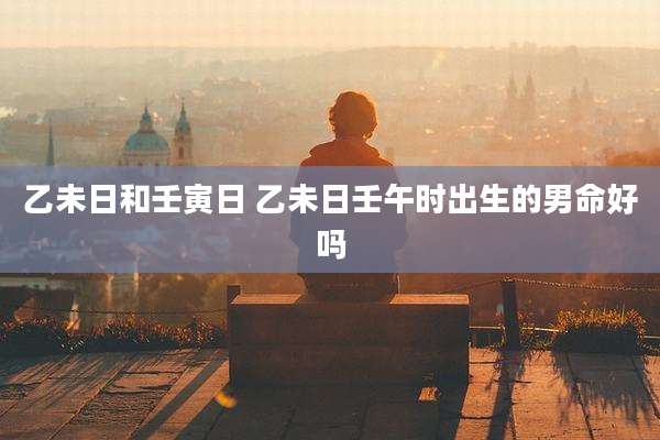 乙未日和壬寅日 乙未日壬午时出生的男命好吗