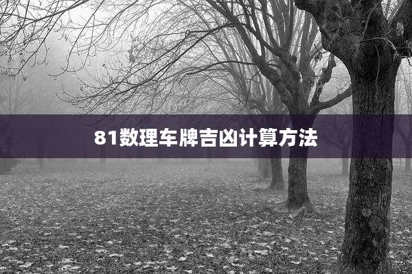 81数理车牌吉凶计算方法