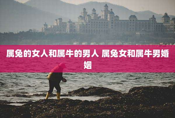 属兔的女人和属牛的男人 属兔女和属牛男婚姻