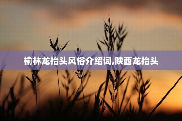 榆林龙抬头风俗介绍词,陕西龙抬头