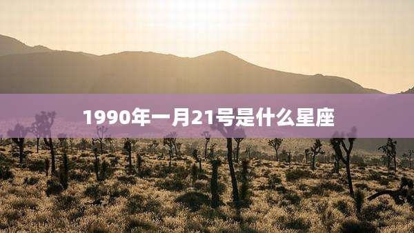 1990年一月21号是什么星座