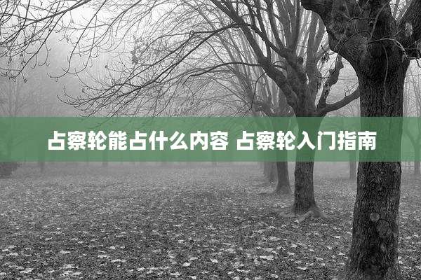 占察轮能占什么内容 占察轮入门指南