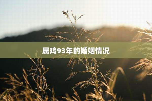 属鸡93年的婚姻情况
