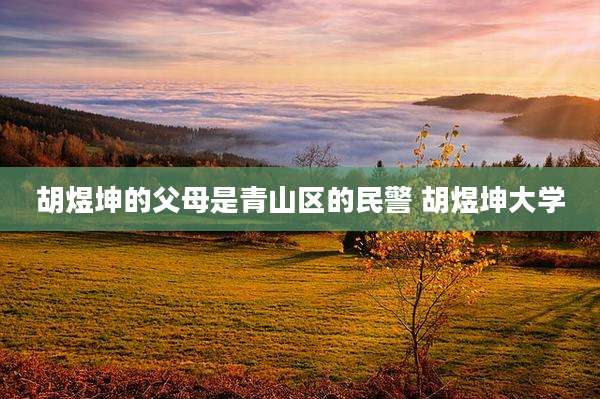 胡煜坤的父母是青山区的民警 胡煜坤大学
