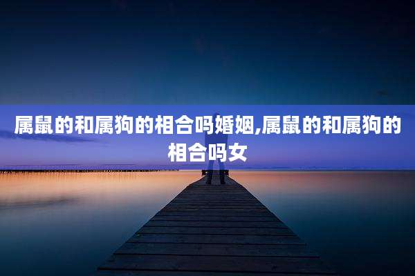 属鼠的和属狗的相合吗婚姻,属鼠的和属狗的相合吗女