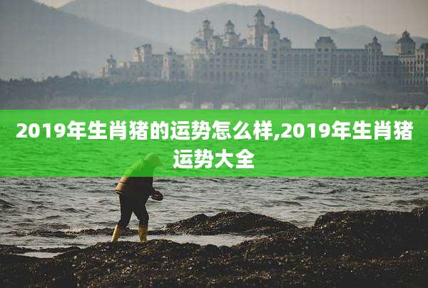2019年生肖猪的运势怎么样,2019年生肖猪运势大全